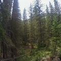 Baker Gulch